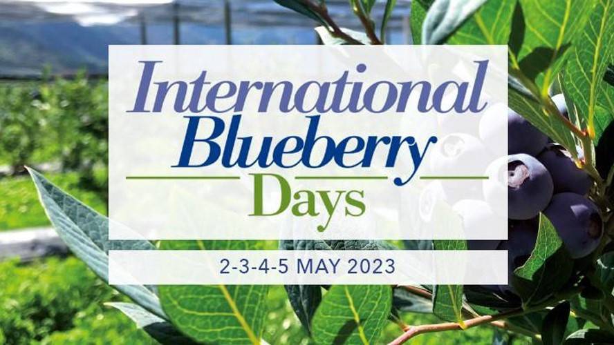 Internation Blueberry Days_Macfrut 2023|macfrut